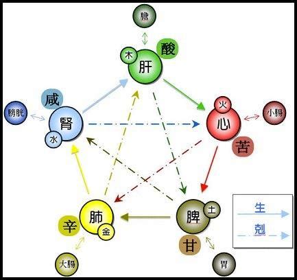 五行 味|“五味”的自然属性及与“五行”的关系